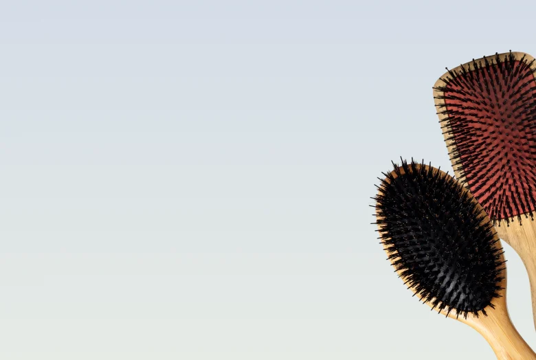 Polishing & Paddle Brushes | Sam Villa