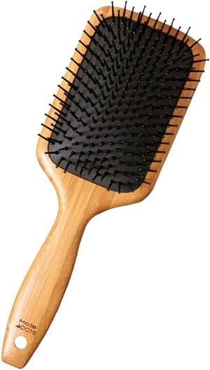 Paddle Brush